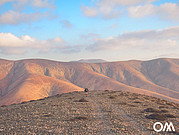 Wandern durchs Inland von Fuerteventura