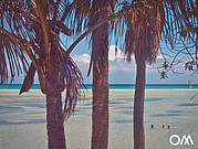 Lagune Sotavento auf Fuerteventura