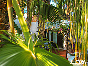 Blick durch die Plamen auf die kleine Terrasse vor den Surfcamp Bungalows