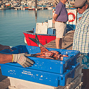 Fischer entladen frischen Fisch